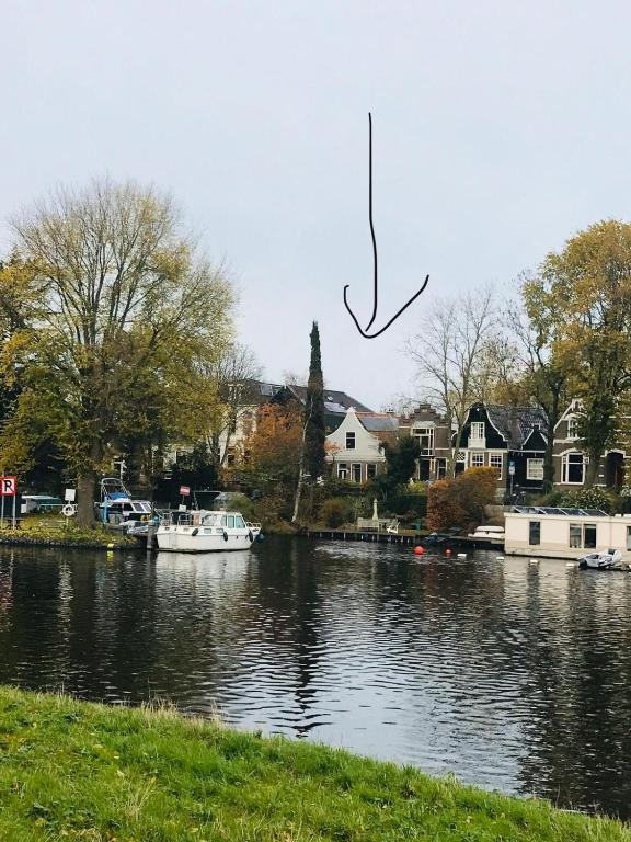 Suitetrails - Klavergeluk