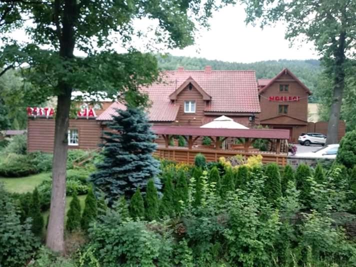 Příroda nedaleko motelu