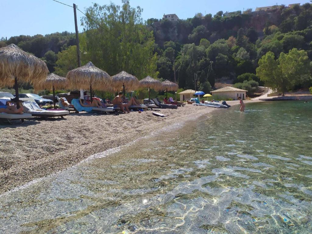 Príroda v okolí vily
