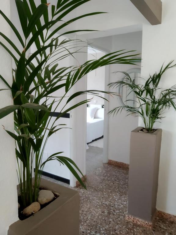 Fotografie z fotogalerie ubytování Casa Rosella v destinaci Sant Ferran de Ses Roques
