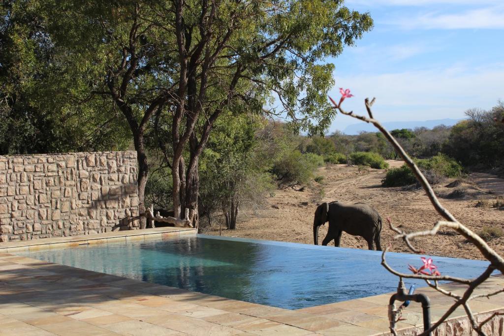 Bassein majutusasutuses Shumbalala Game Lodge või selle lähedal
