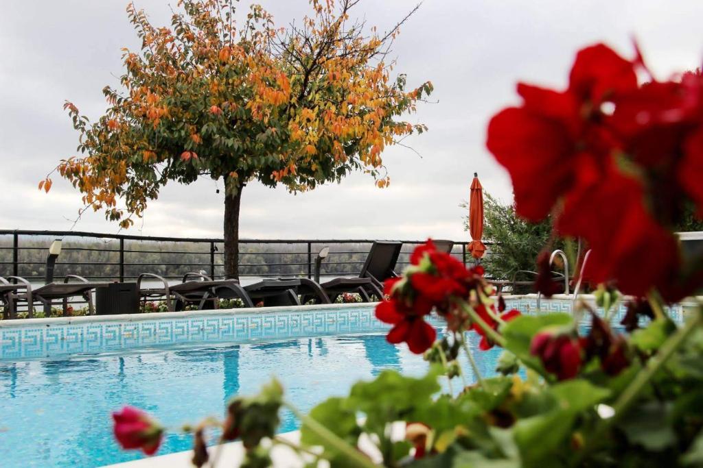 Guest House Panorama Aqualux with Free Parking - Resim 40