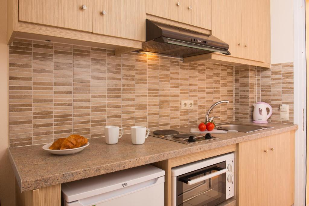 Kuchyň nebo kuchyňský kout v ubytování Odysseus Apartments By Hotelius