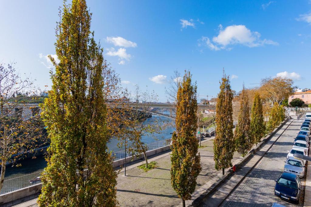 a row of trees in a parking lot next to a river at Riverside City Centre Apartments in Porto