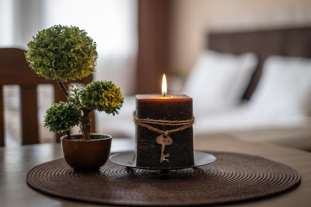 a candle sitting on a table with a potted plant at Luxor Apartment in Velingrad