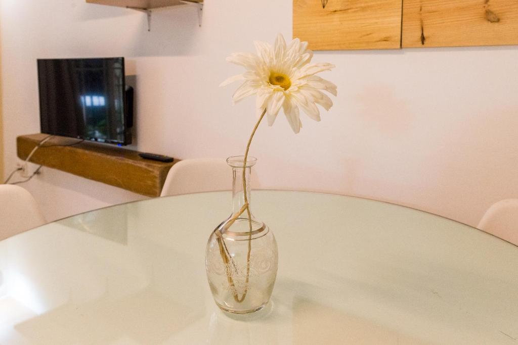 Zdjęcie z galerii obiektu GR0-Quiet apartment, Private backyard, Walk to Old Town w Maladze