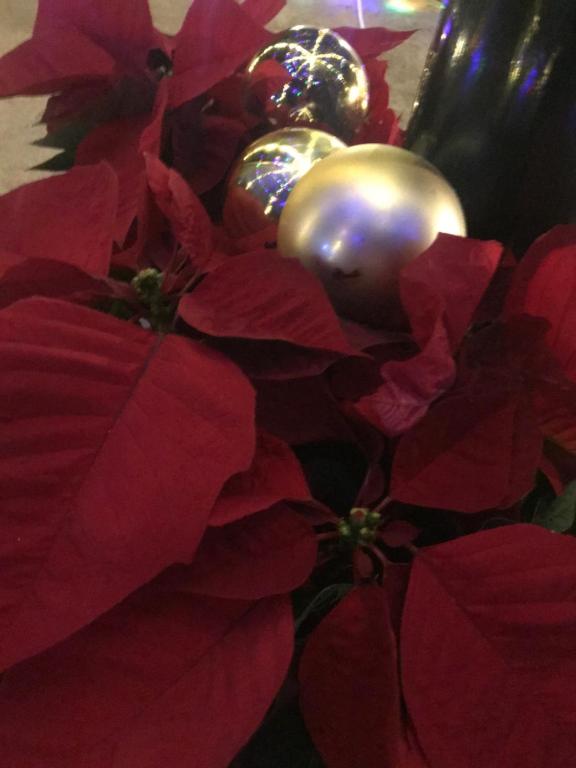 El Lagar de los Abuelos - 14