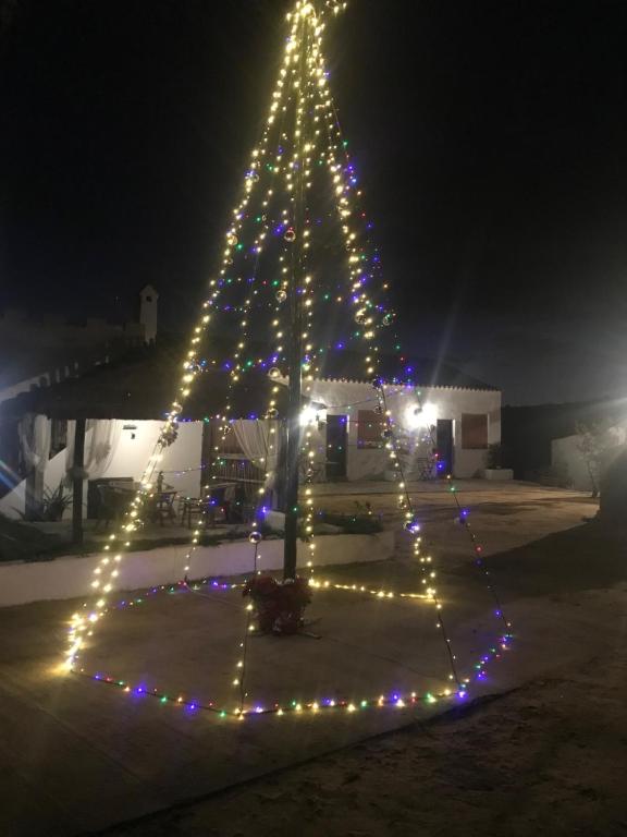 El Lagar de los Abuelos - 16