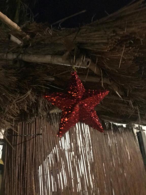 El Lagar de los Abuelos - 17