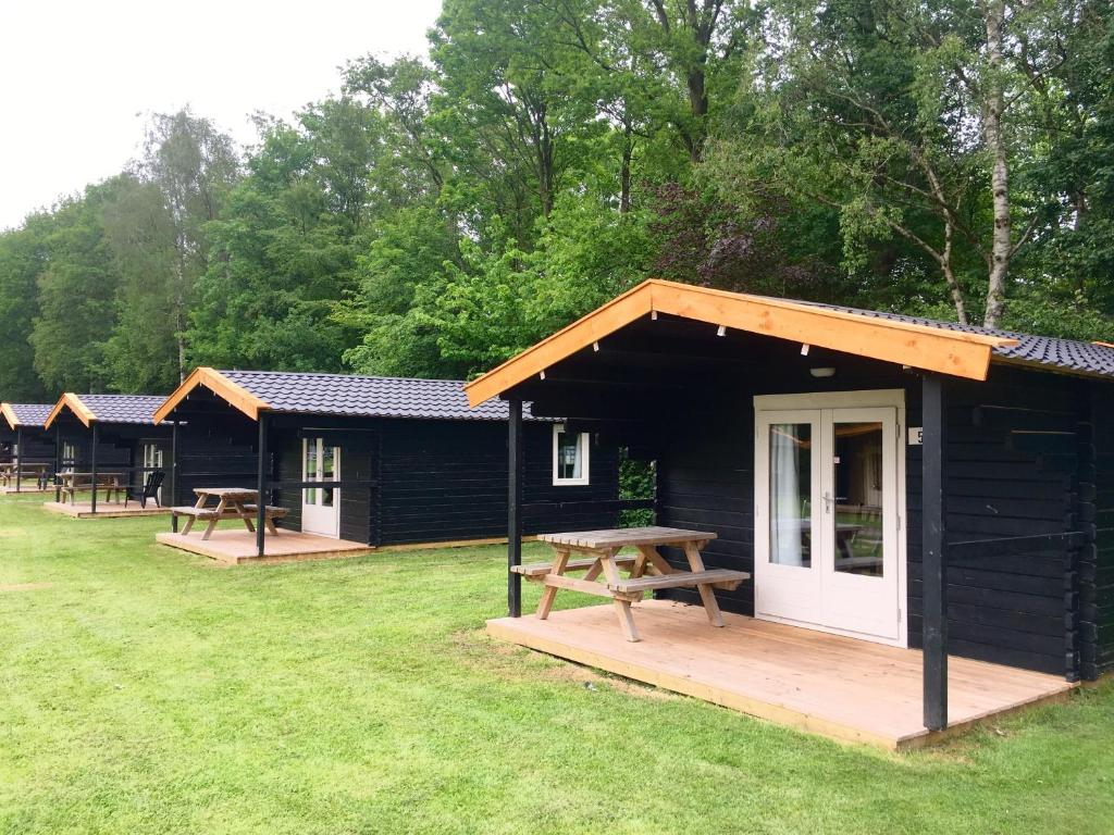 een groep lodges met een picknicktafel in het gras bij Vakantiepark t Urkerbos - Blokhutje in Urk
