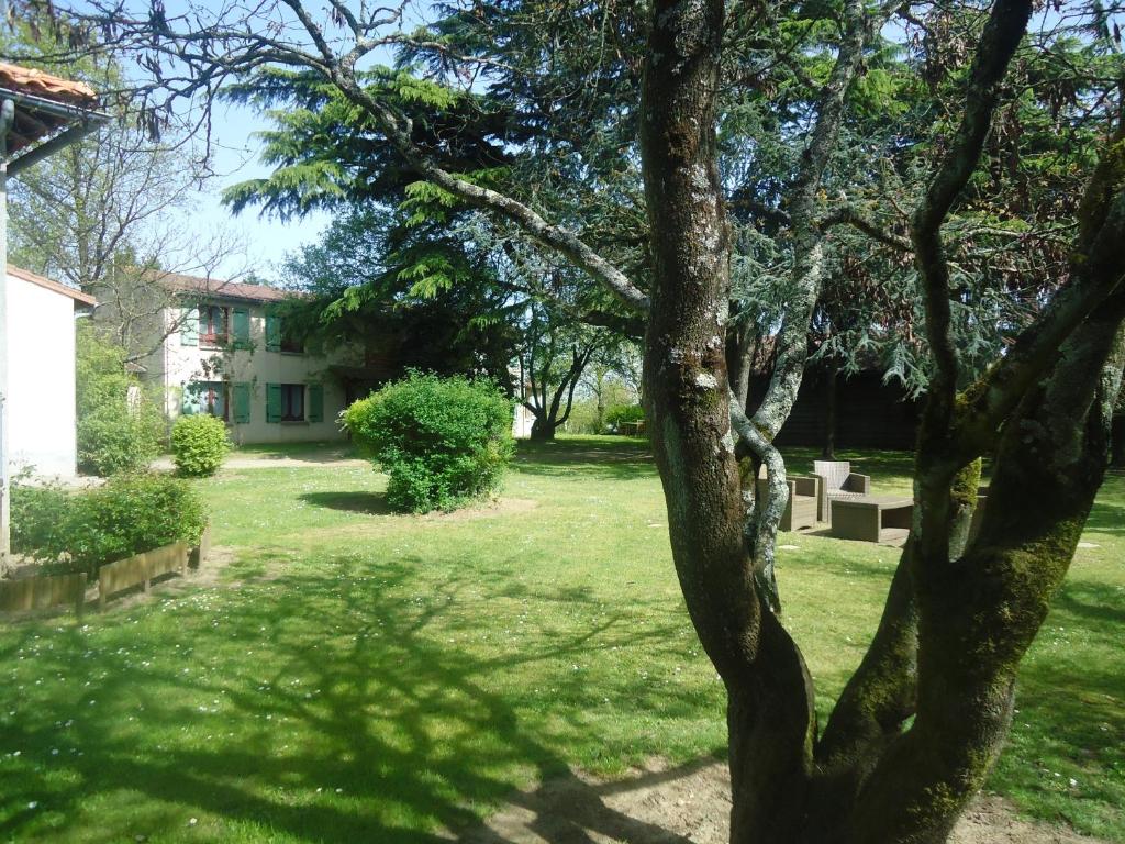 a tree in the yard of a house at Don Quichotte in Vallet