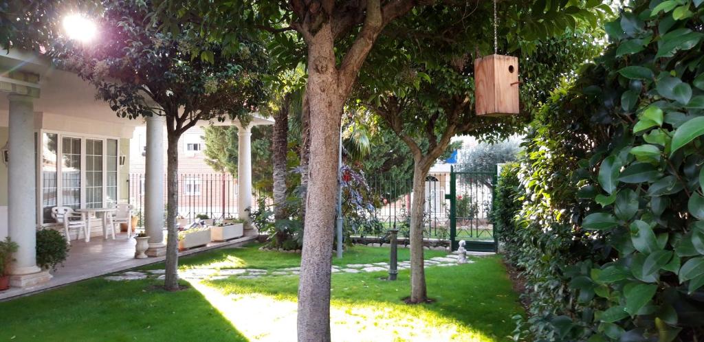 a yard with trees and a house with a lamp at El olivo in Tordesillas