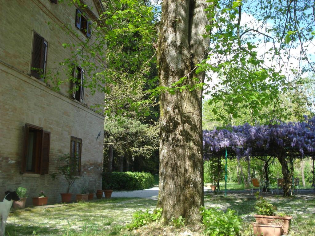 Zahrada ubytování Casale La Fornace