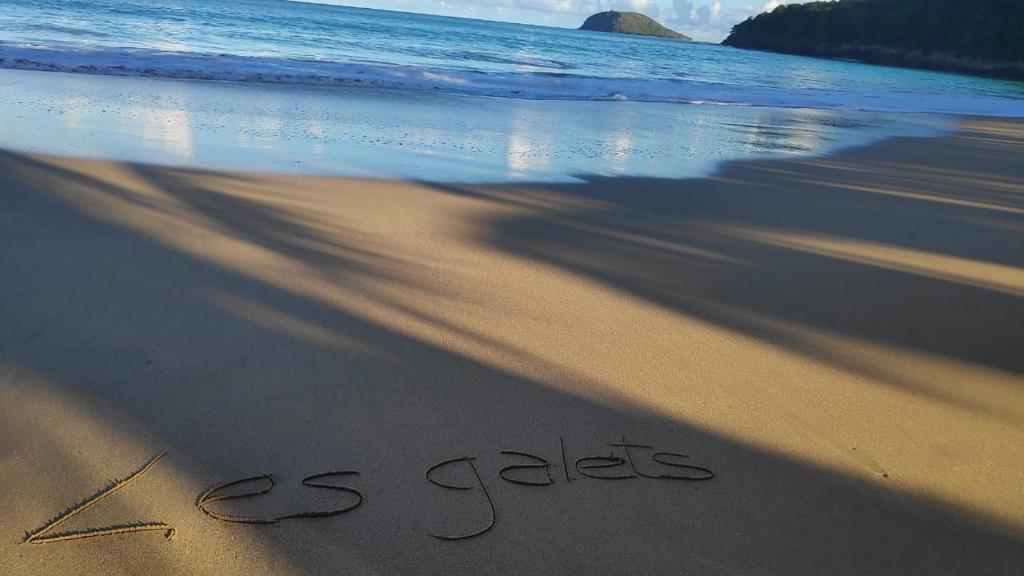 Naturlandskabet i nærheden af lejligheden