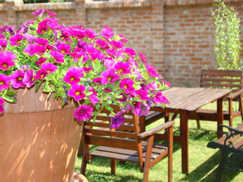 A garden outside Emanapartmanok Sárvár