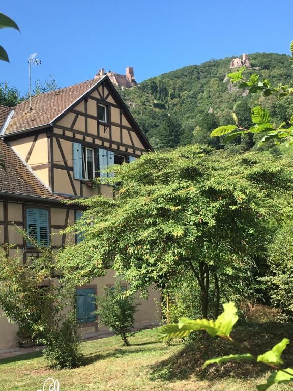 Le Gîte du Moulin – photo 34
