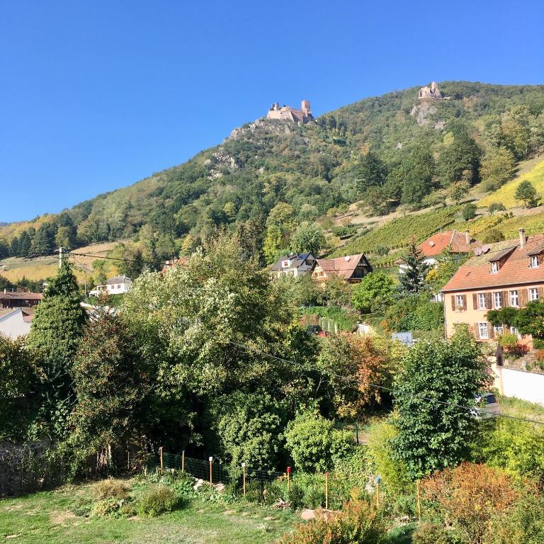 Le Gîte du Moulin – photo 35