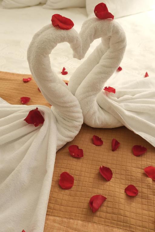 Rosslyn Inn & Suites - Resim 4