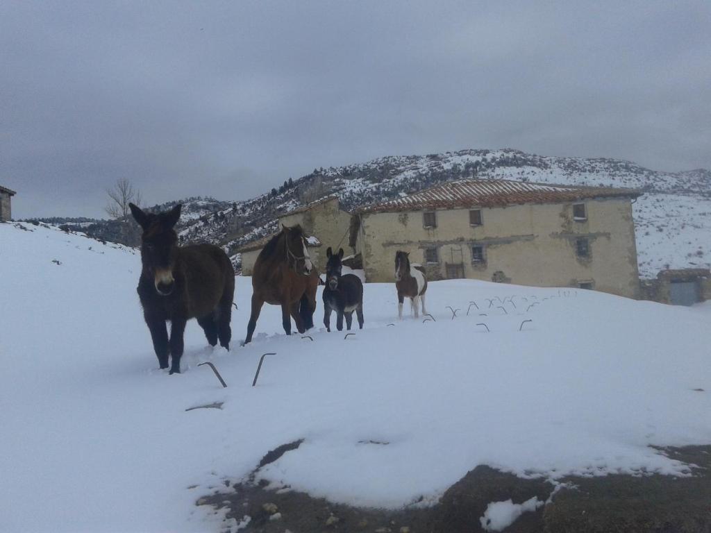 Casa Rural Chulilla v zimě