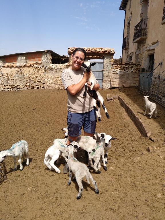 Domácí mazlíčci ubytovaní s hosty v ubytování Casa Rural Chulilla