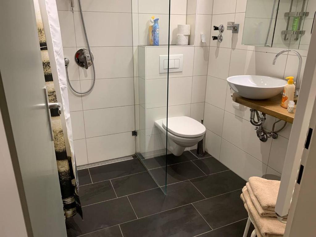 a bathroom with a shower and a toilet and a sink at Hornhaus in Kitzbühel