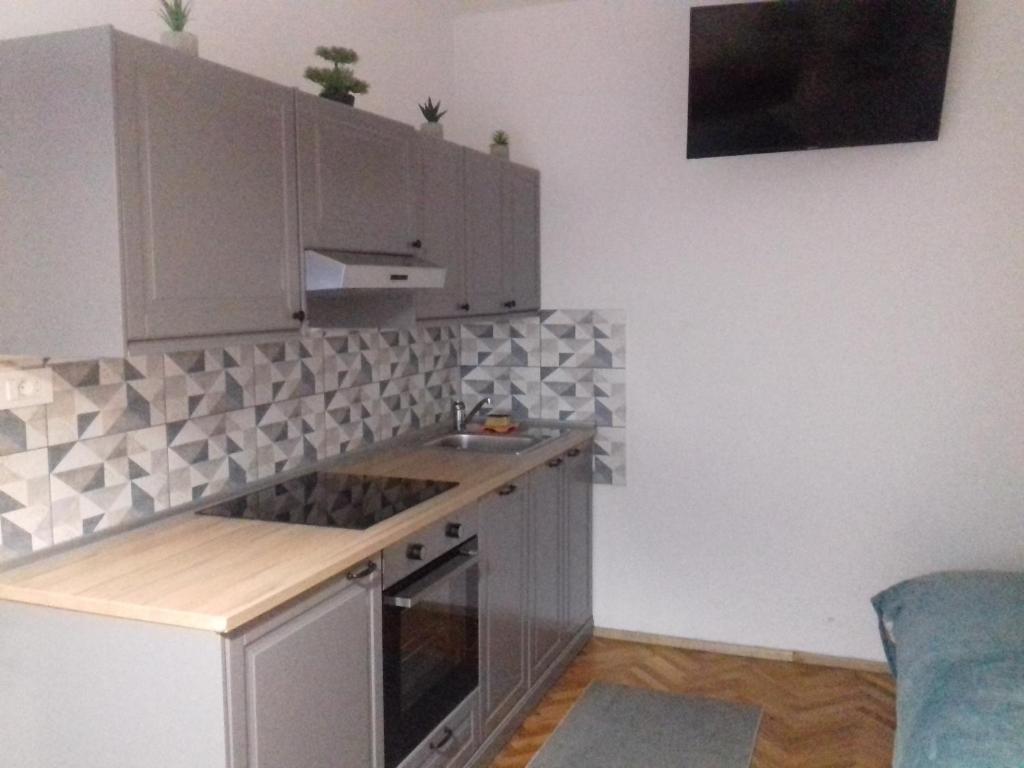 Kuchyň nebo kuchyňský kout v ubytování Apartma Lahinja
