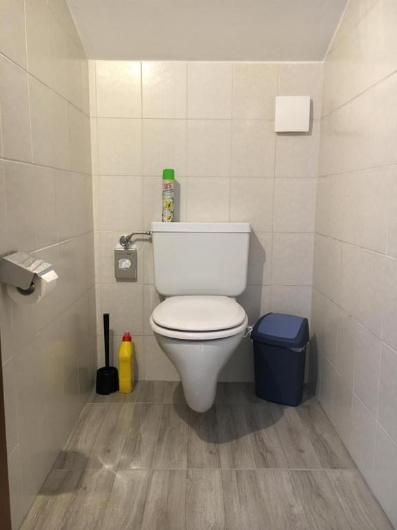 Kúpeľňa v ubytovaní Landhaus Holzereck