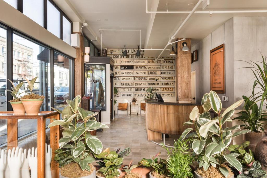 um quarto com vasos de plantas num restaurante em KEX Hotel em Portland