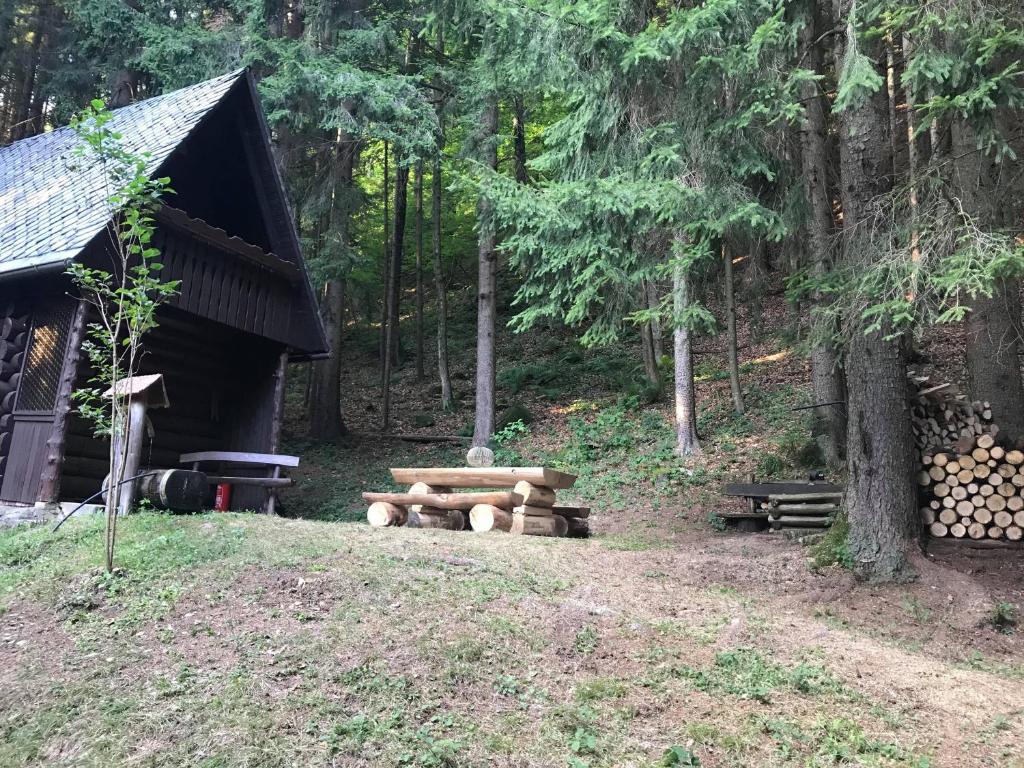 a pile of logs next to a cabin in the woods at Dotik gozda in Železniki