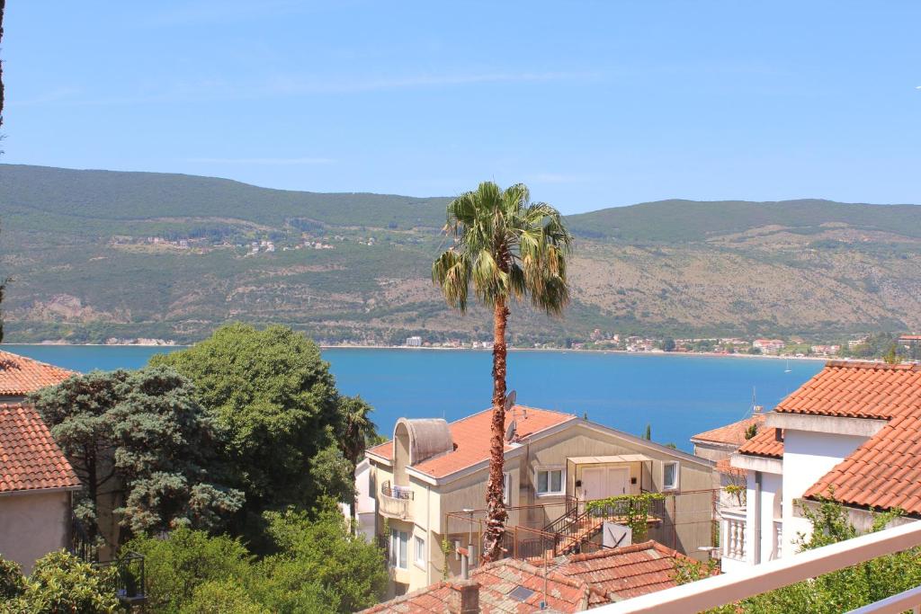 Guest House Tomanovic - 14