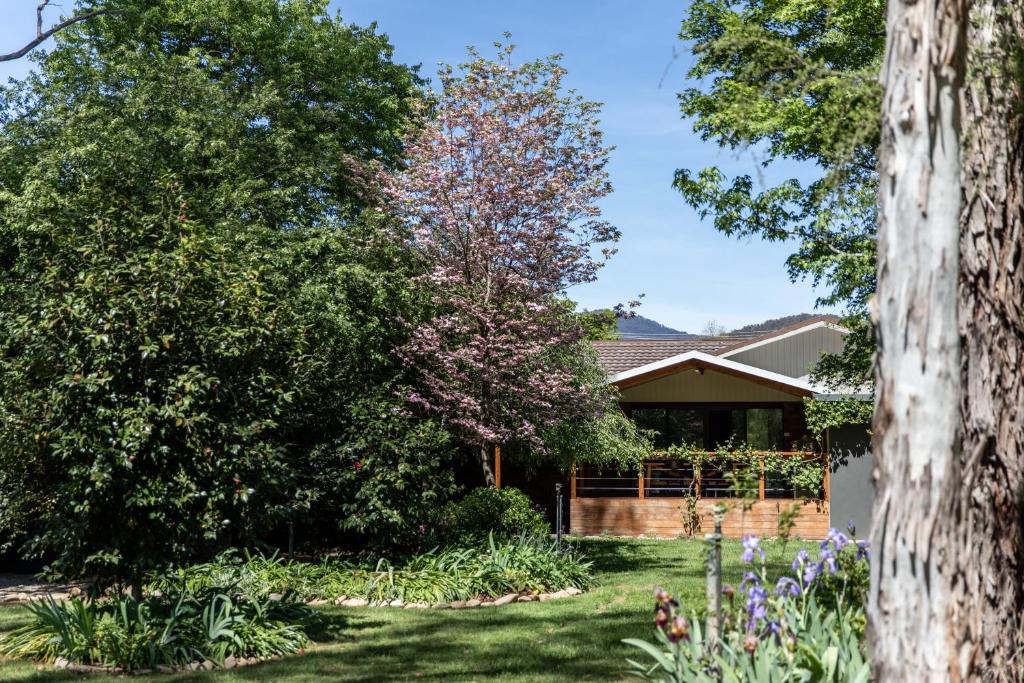 une maison avec des arbres et des fleurs dans la cour dans l'établissement Nest House Bright, à Bright