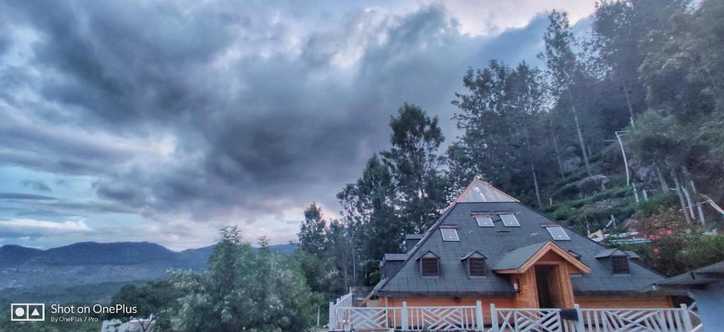 Příroda nedaleko hostelu