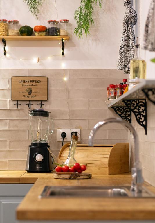 Kuchyň nebo kuchyňský kout v ubytování Primavera Hostel