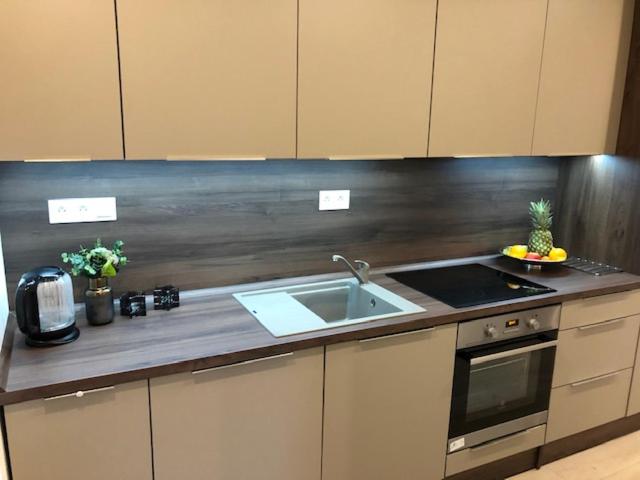 Kuchyň nebo kuchyňský kout v ubytování Tále Apartmán 9, Lúčnica, Chopok juh