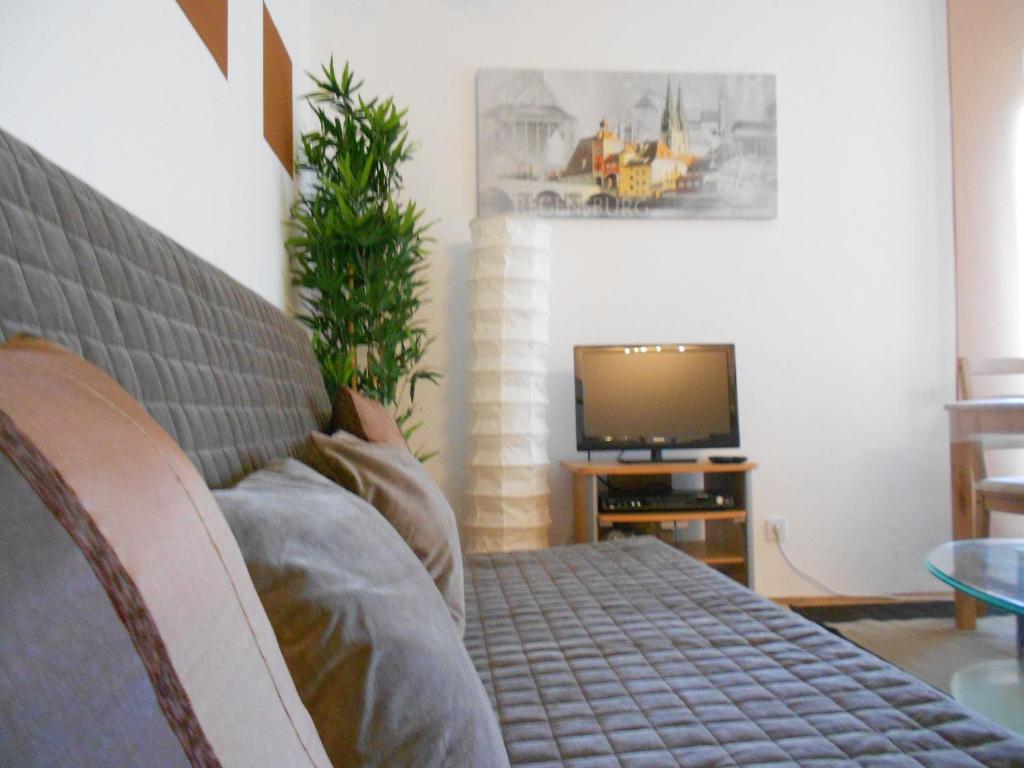 Apartments Hofgarten - スタジオ