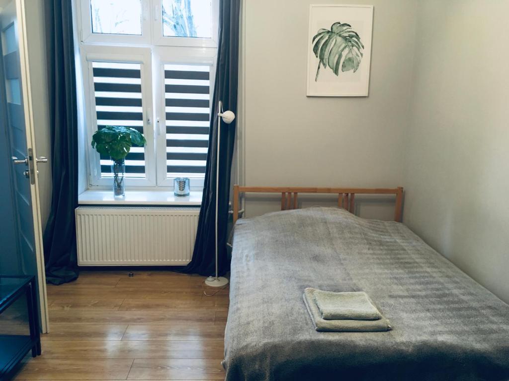 a bedroom with a bed and a window with a plant at Studio Stare Miasto in Gdańsk