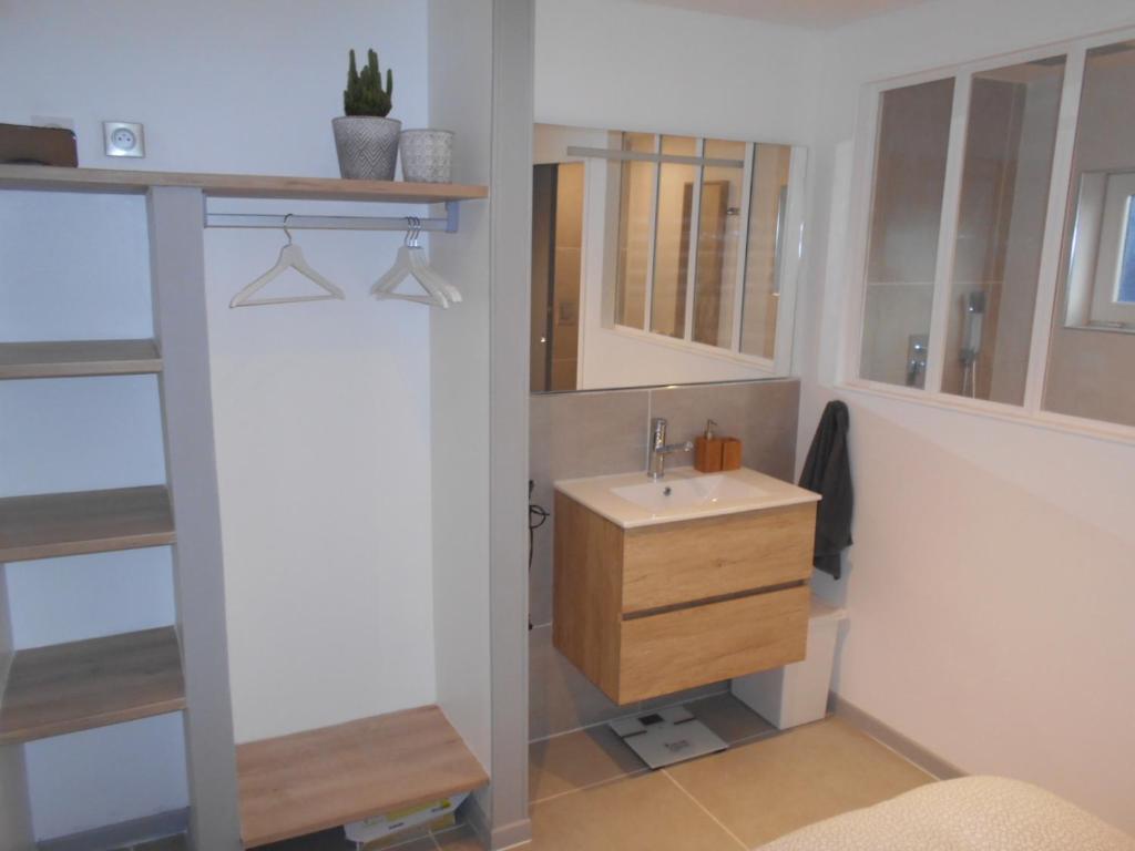 a bathroom with a sink and a mirror at 4MIN ORLEANS APPT 1CHB PLEIN AU CALME AVEC TERRASSE ET PARKING DEVANT in Saint-Jean-de-Braye