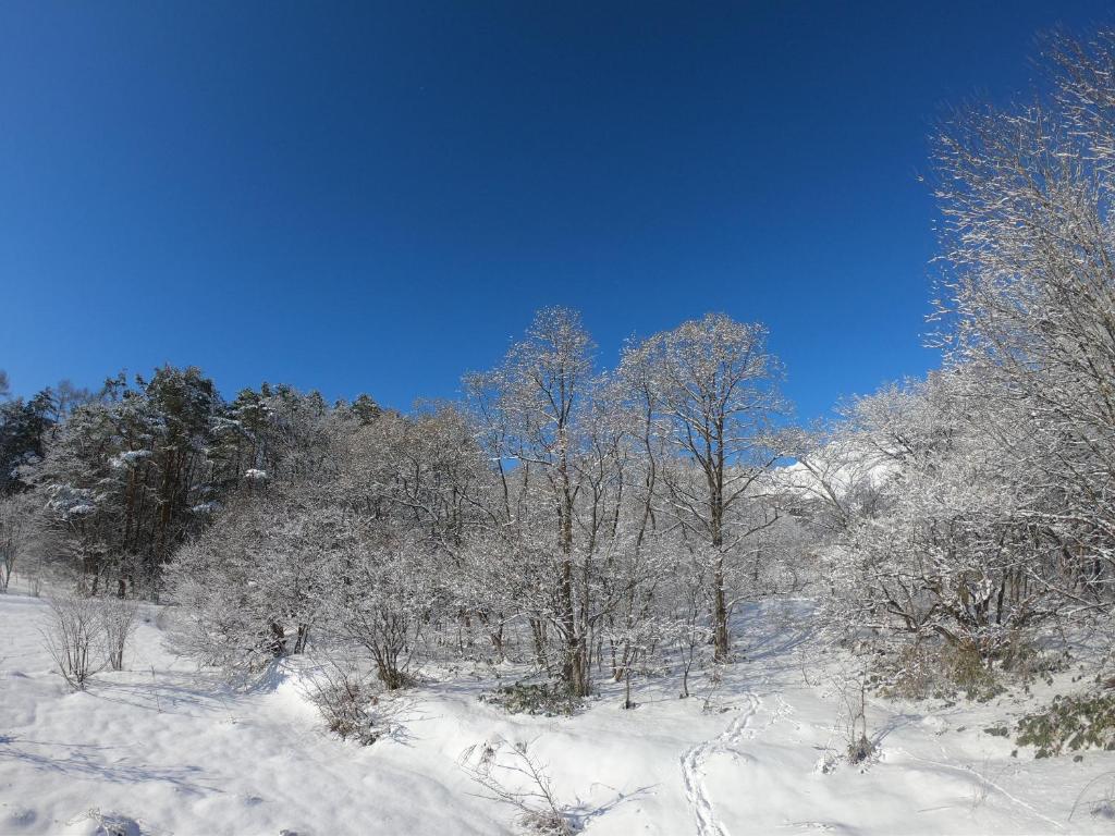 Hakuba Hokujo v zimě