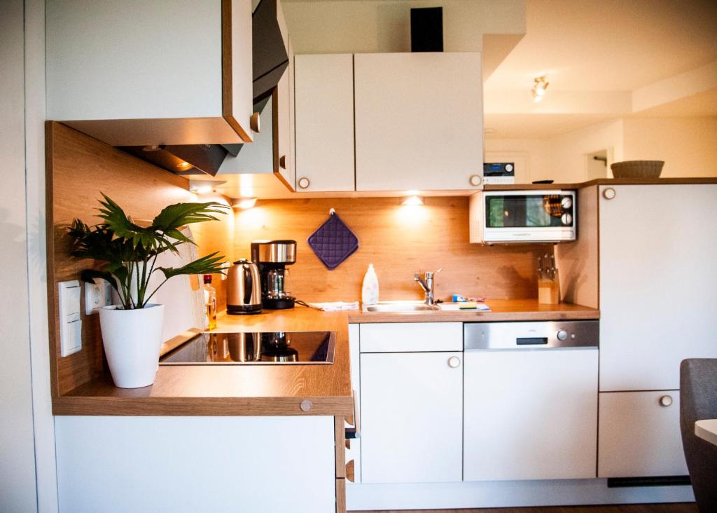 Apartmenthaus Feldberg - 13