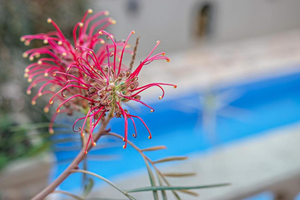  Pousada Estalagem de Brotas