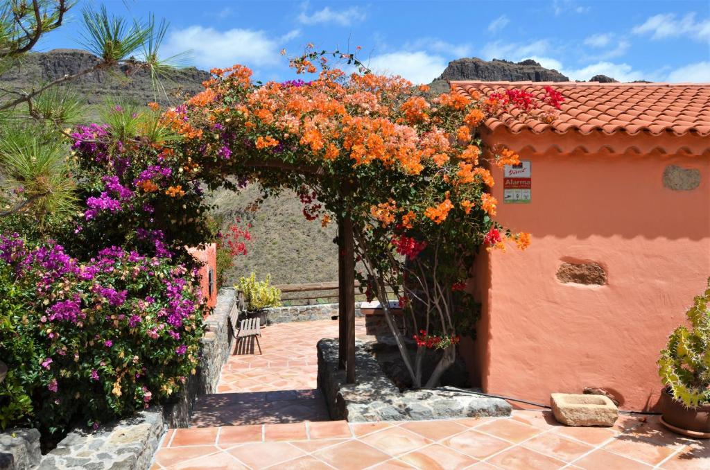 Zahrada ubytování Finca Las Olivas - Unique country house with heated pool