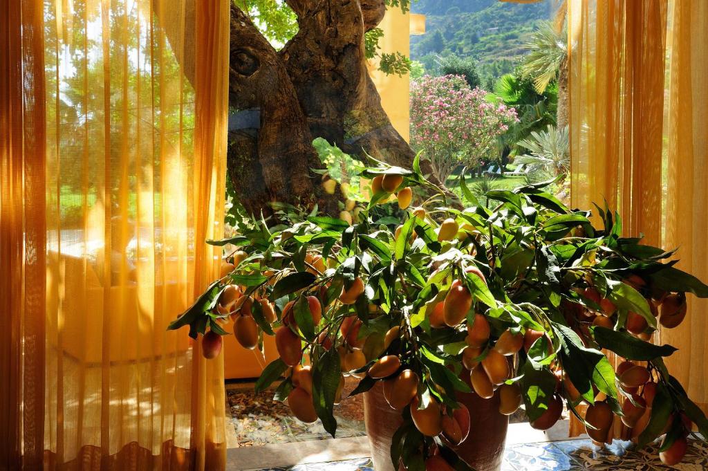 Vonkajšia záhrada v ubytovaní Alberi del Paradiso