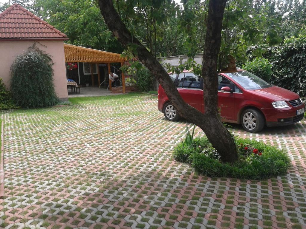 Zahrada ubytování Csaki Vendeghaz