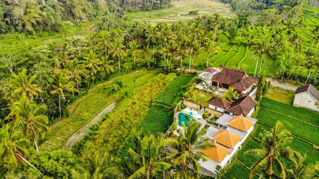 Dana Bali Ricefield Villa - 15