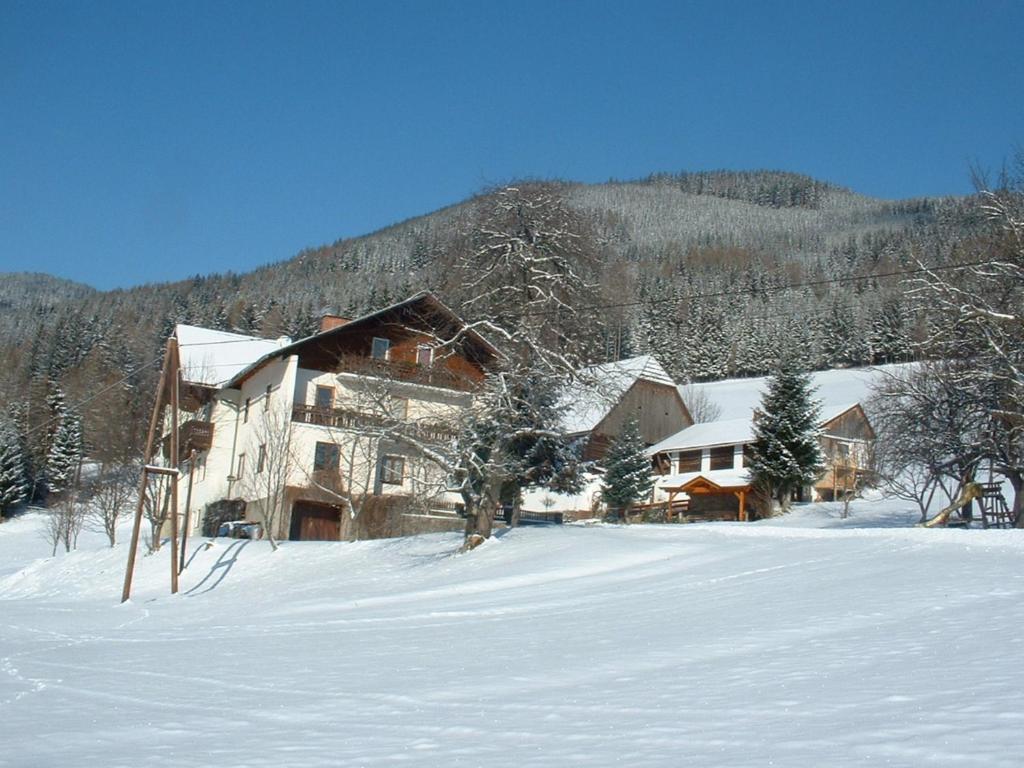 dom pokryty śniegiem na polu w obiekcie Bauernhof Marx w mieście Gaal