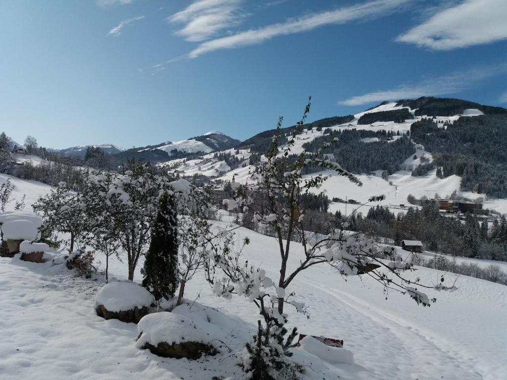 einen schneebedeckten Hügel mit Bäumen und einem Berg in der Unterkunft Talhof in Jochberg
