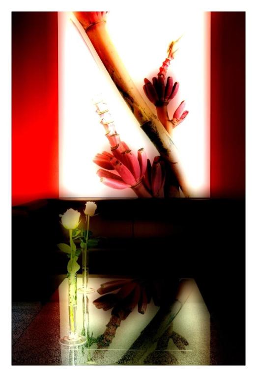 Fotografie z fotogalerie ubytování Executive Hotel v destinaci Forlì