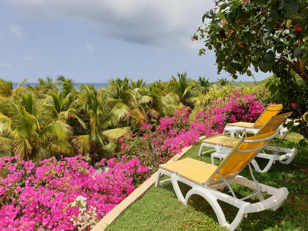 Zahrada ubytování Villa Guadeloupe Saint François Accès Mer Piscine IGUANA BAY - Villa Zagadi