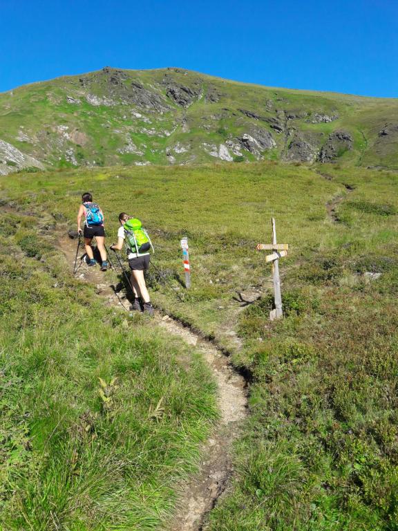 Hosté ubytování Almland Hütte