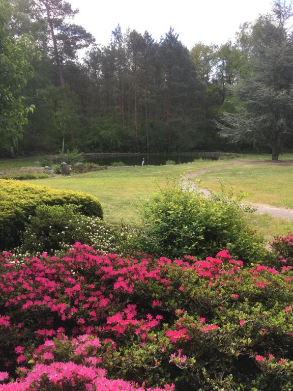 Zahrada ubytování Haus am Parc